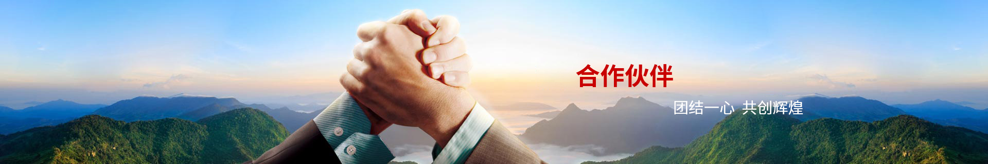 合作夥伴